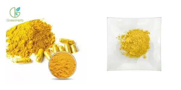 Berberine Hcl Powder_副本.webp